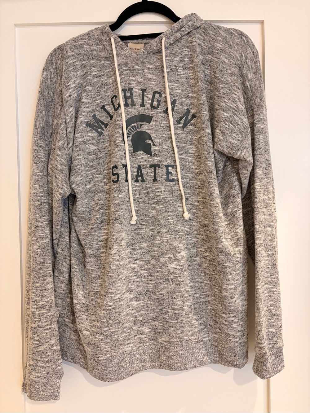 Michigan State Women’s Gray Hoodie Sweatshirt Large NWT